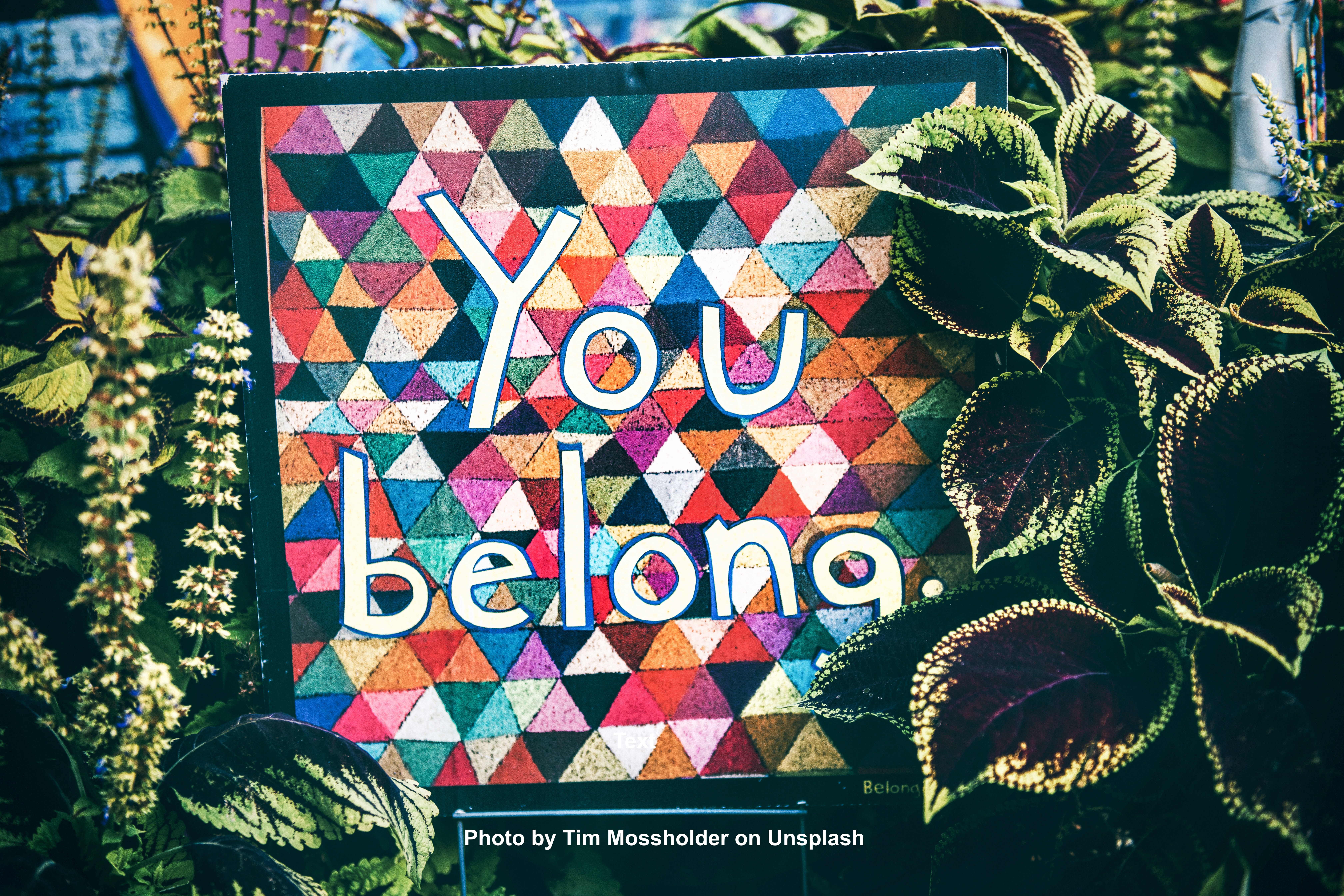 Inclusion, Normalizing, and the Backfire Effect