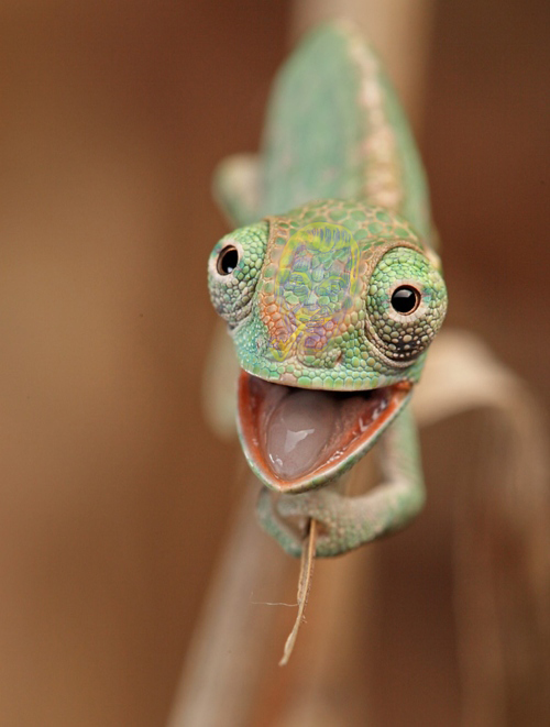 Hour of Slack #1646 - Take Up The Slack