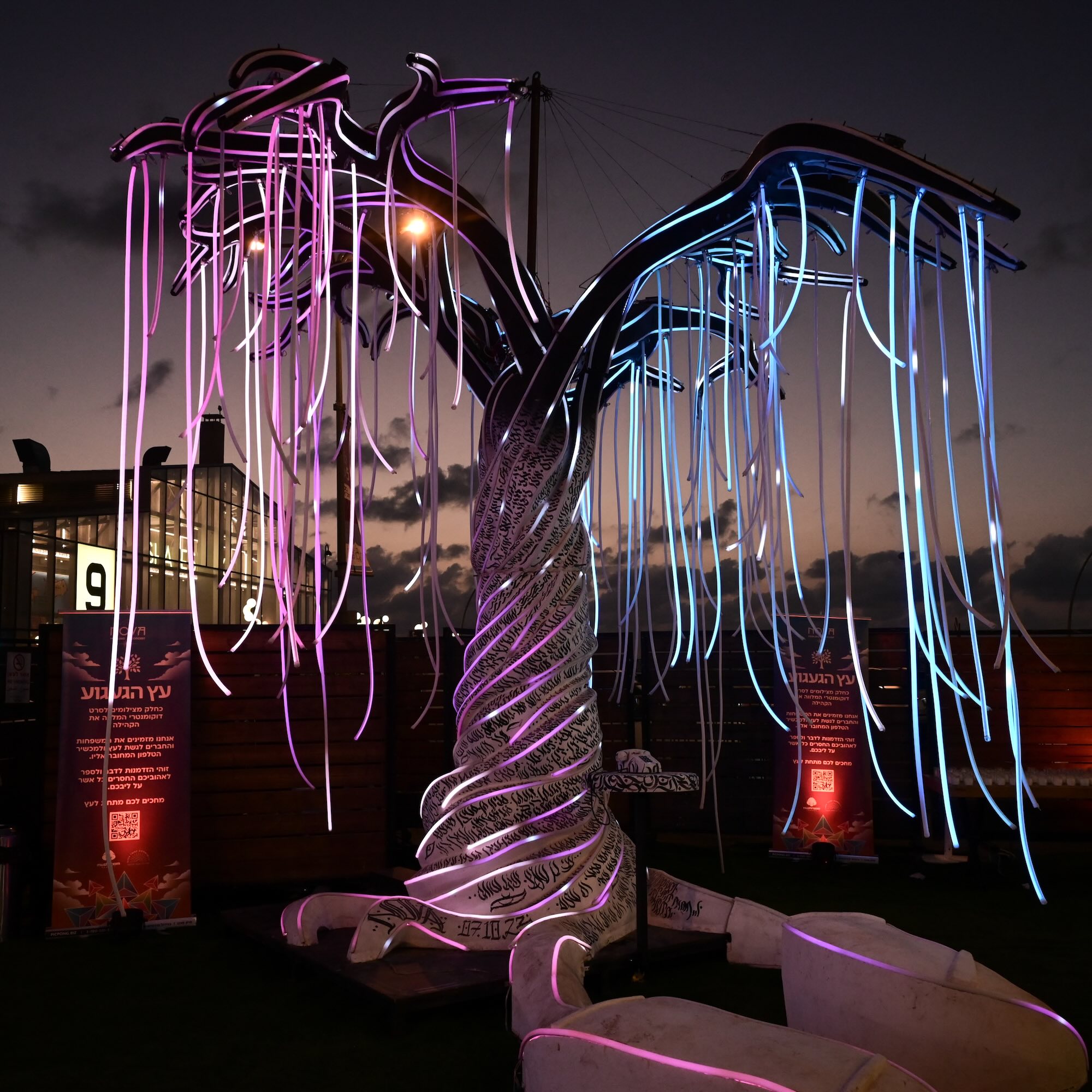 The “The Big Picture” Edition The “The Big Picture” Edition