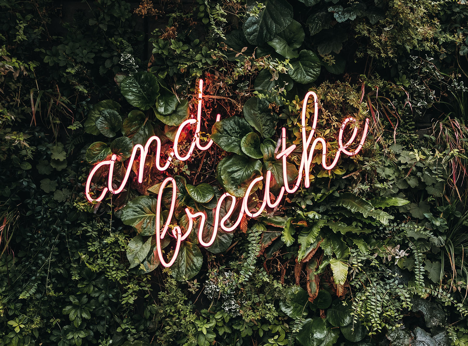 Episode 53: Better Breathing, Better Health?