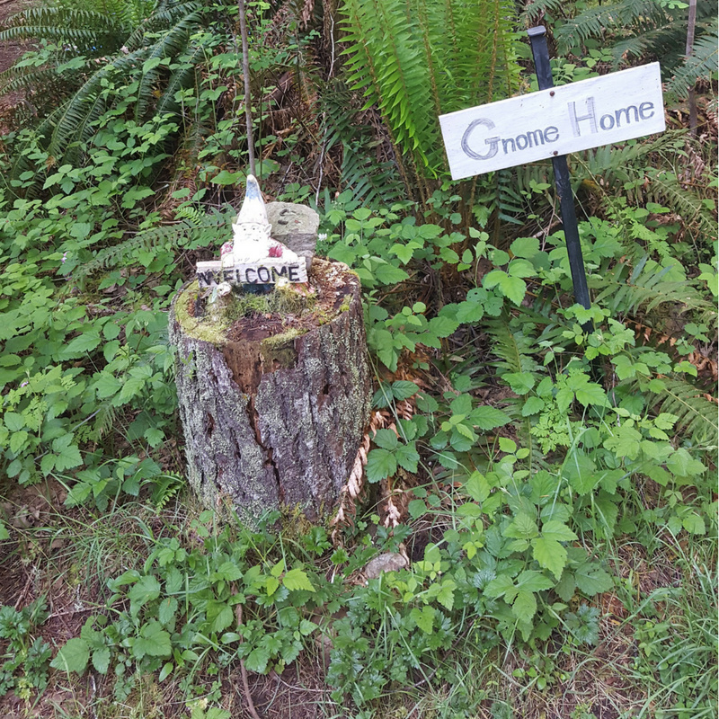 Special #13: Drabble on Instagram: Gnome Home