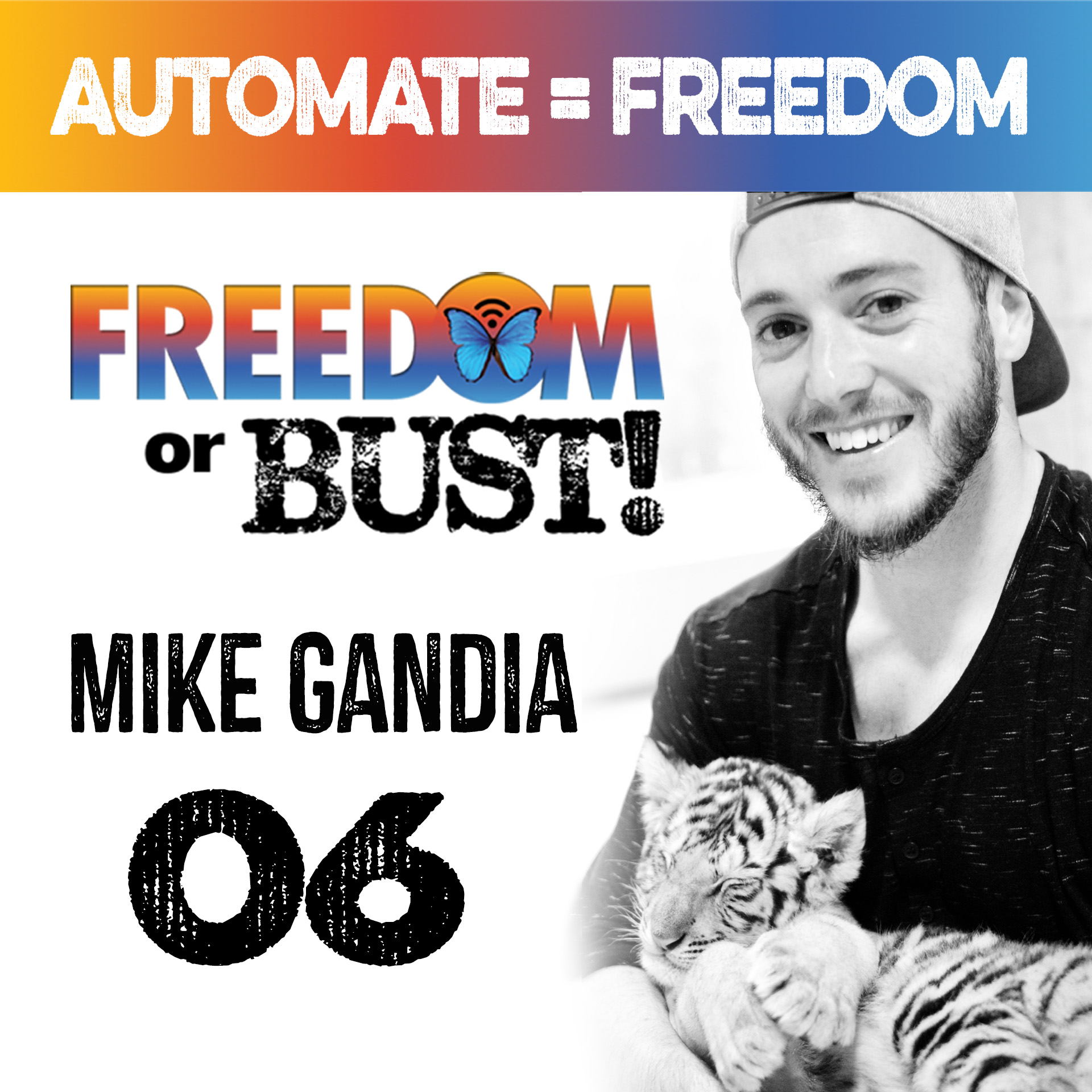 Episode 6: Automate Your Freedom and Follow Your Passion