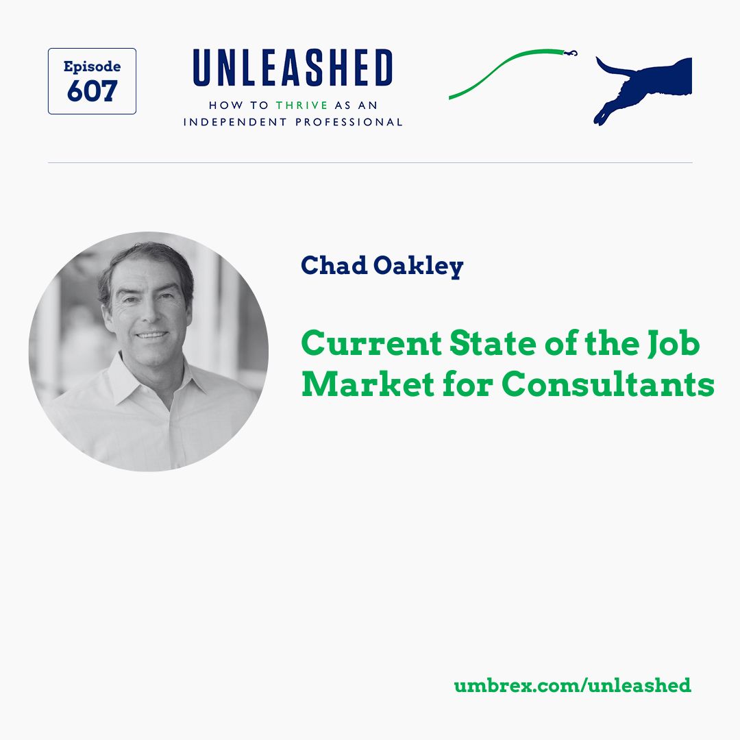 Unleashed - How to Thrive as an Independent Professional
