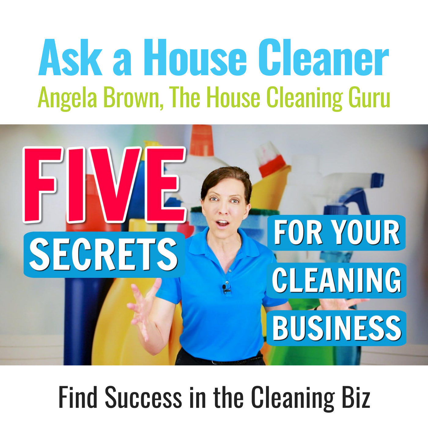 Ask a House Cleaner