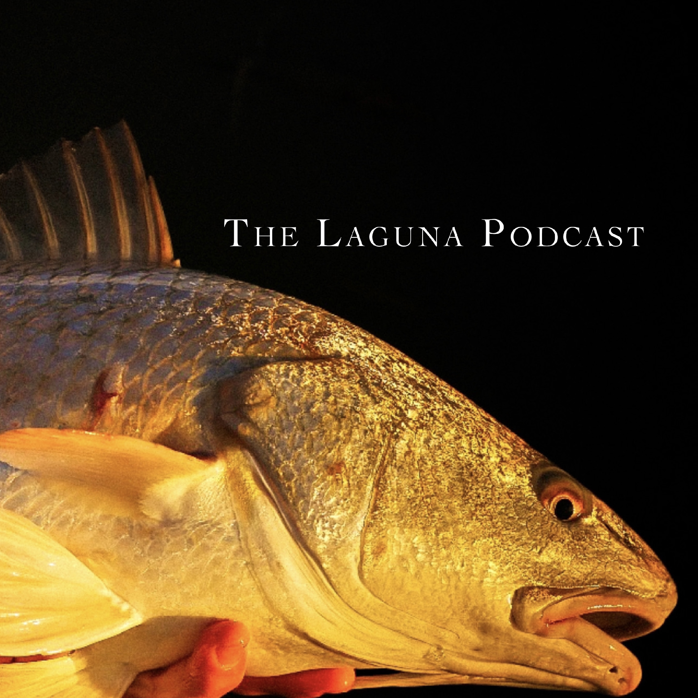 The Laguna Podcast