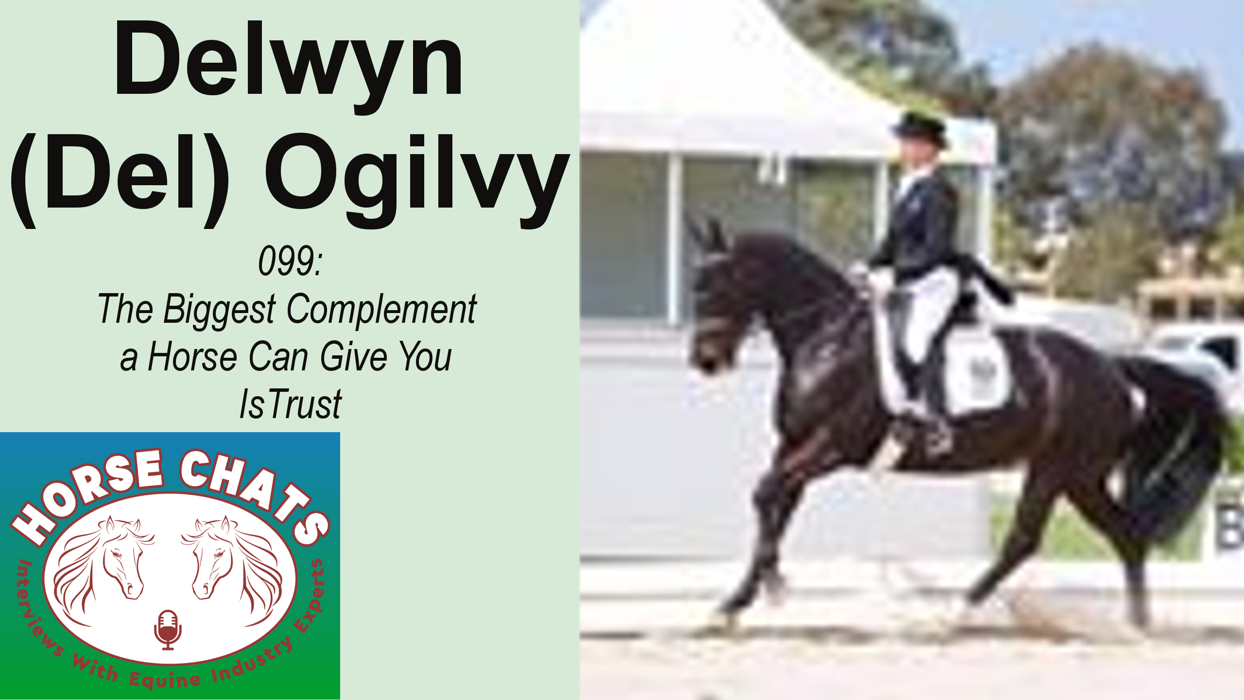 0099: Delwyn Ogilvy - The Biggest Complement a Horse Can Give You Is Trust