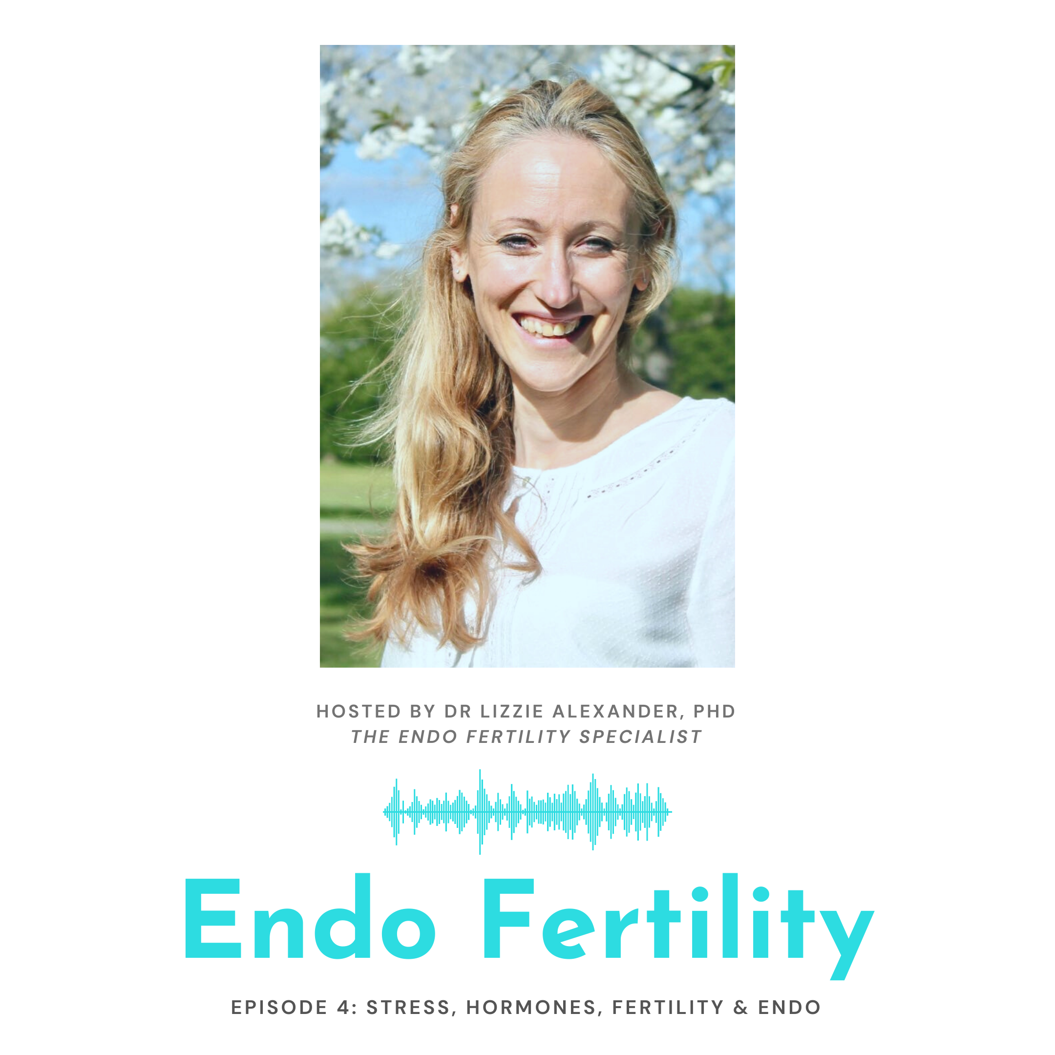 Endo Fertility