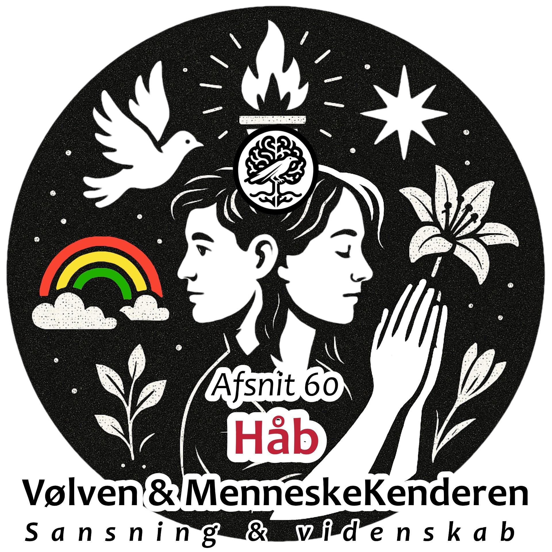 Vølven & MenneskeKenderen