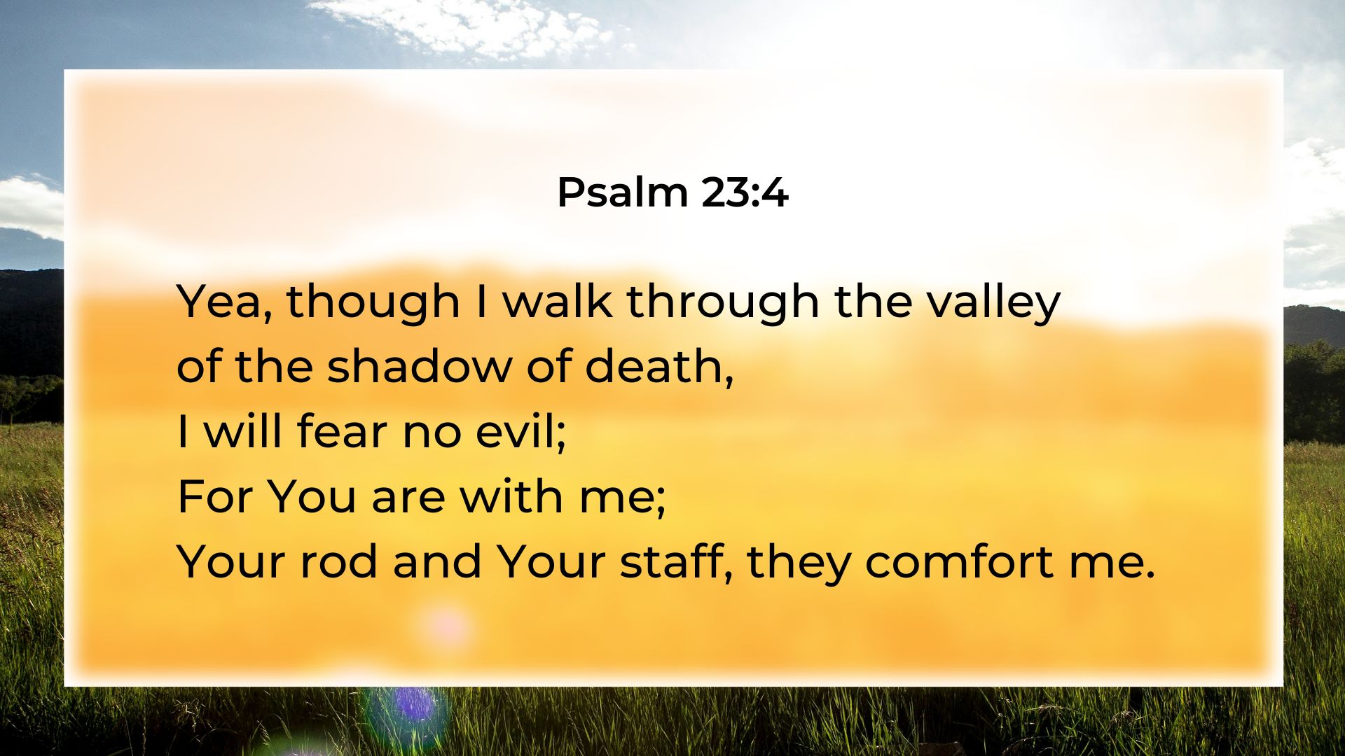 From Fearful to Faithful: Psalm 23, Wk 2- Going Through the Valley