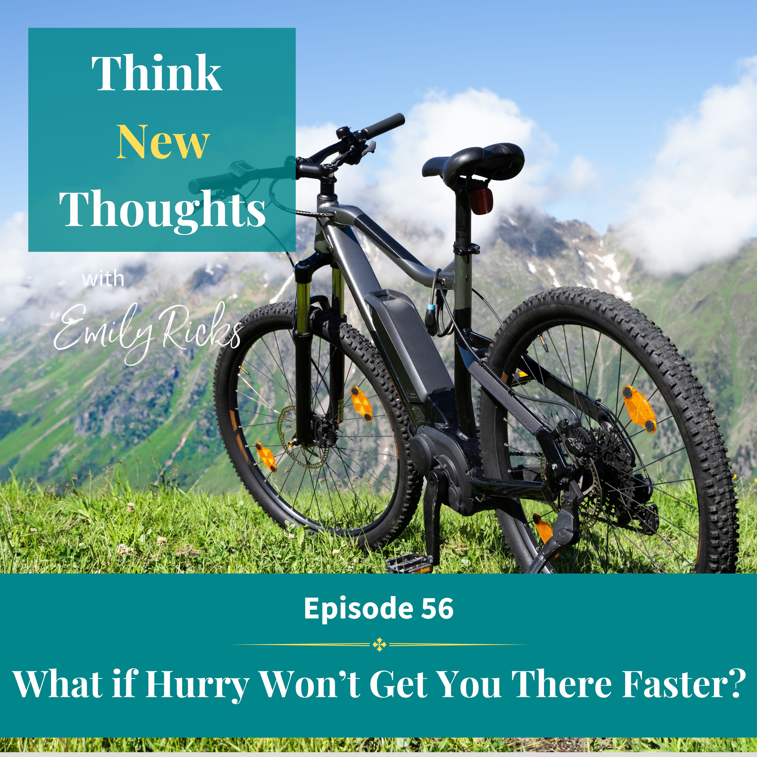 Ep 56:  What if Hurry Won't Get You There Faster?