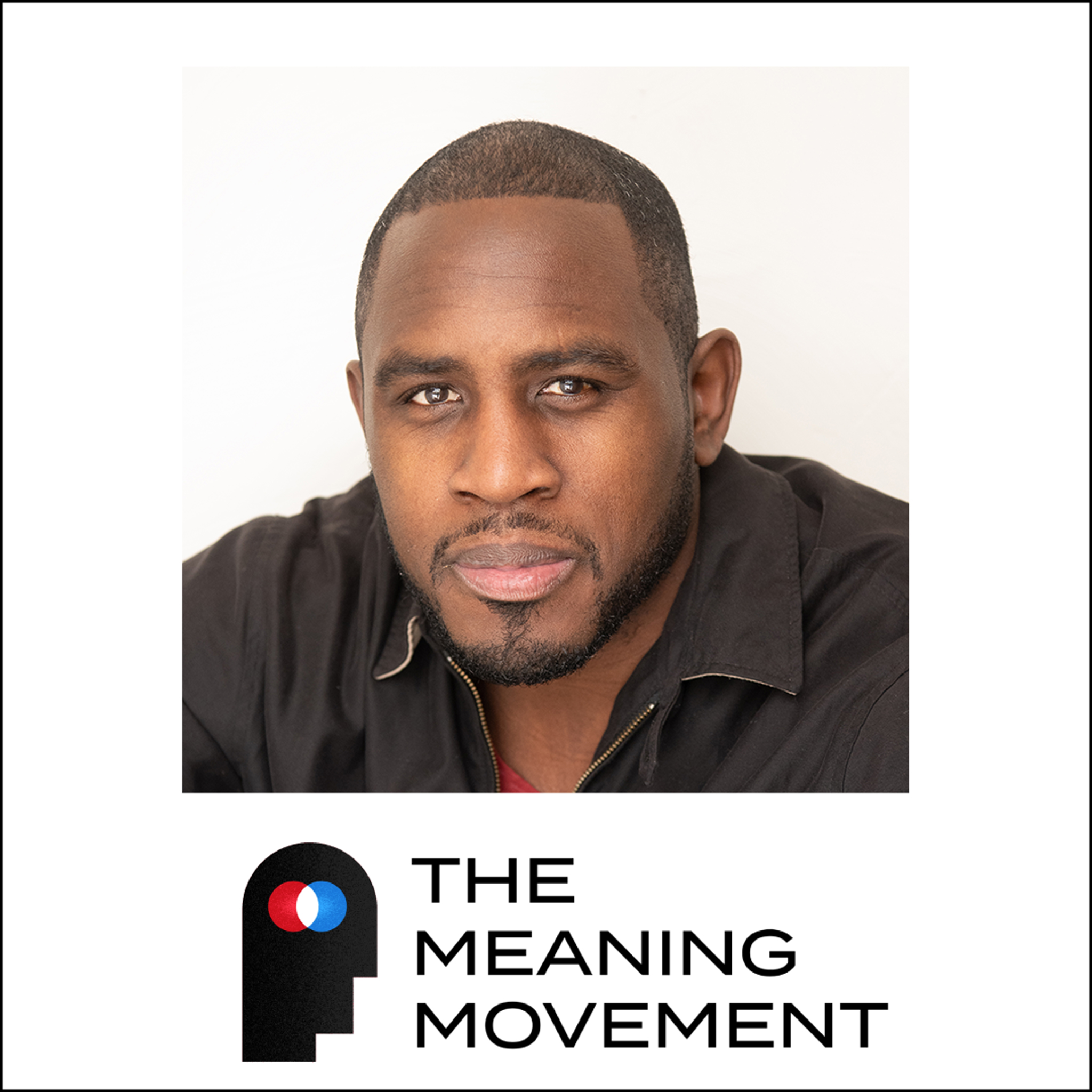 The Meaning Movement: Rediscover your Passion, Avoid Burnout, and Do Work You Love.