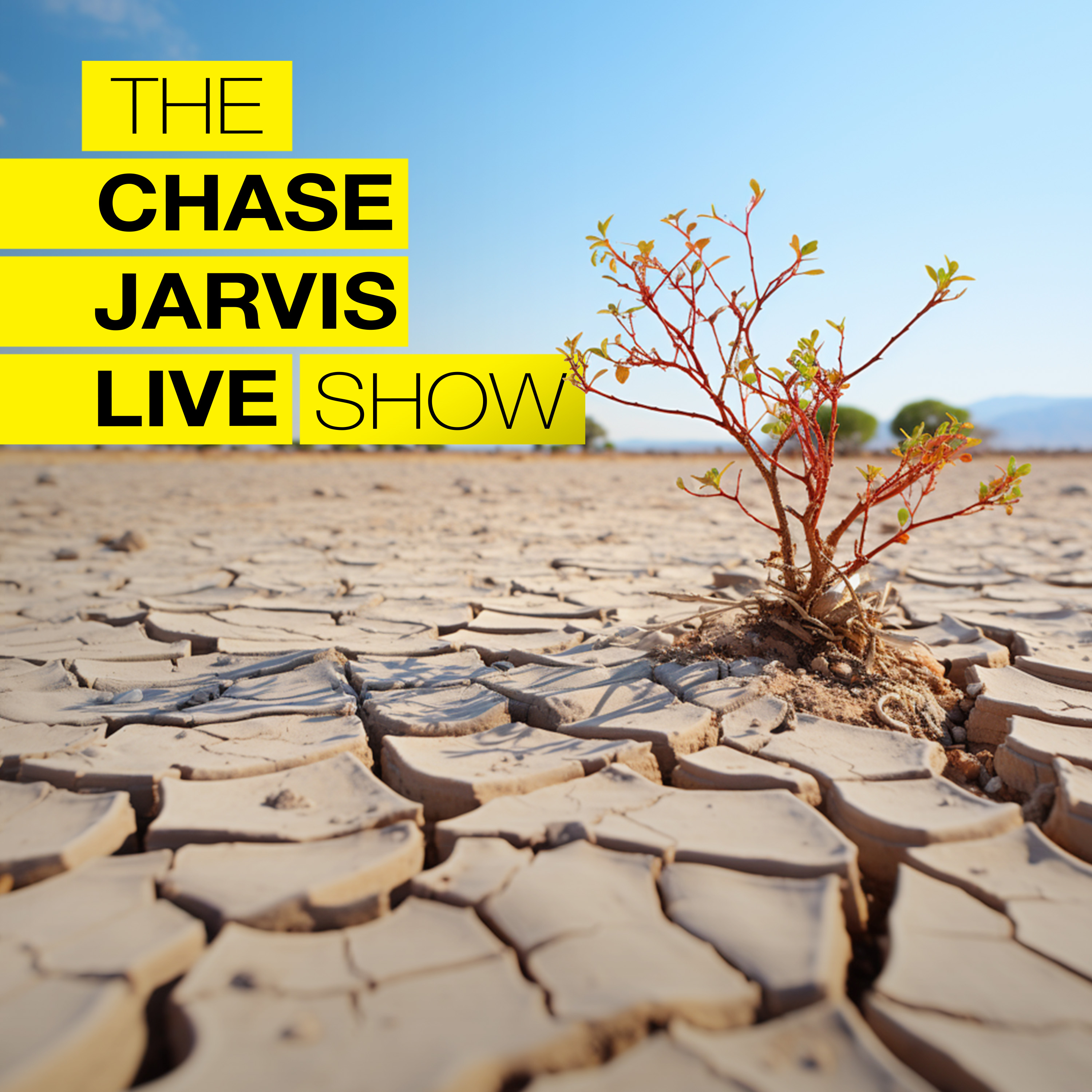 How to Create Consistently When Inspiration Runs Dry