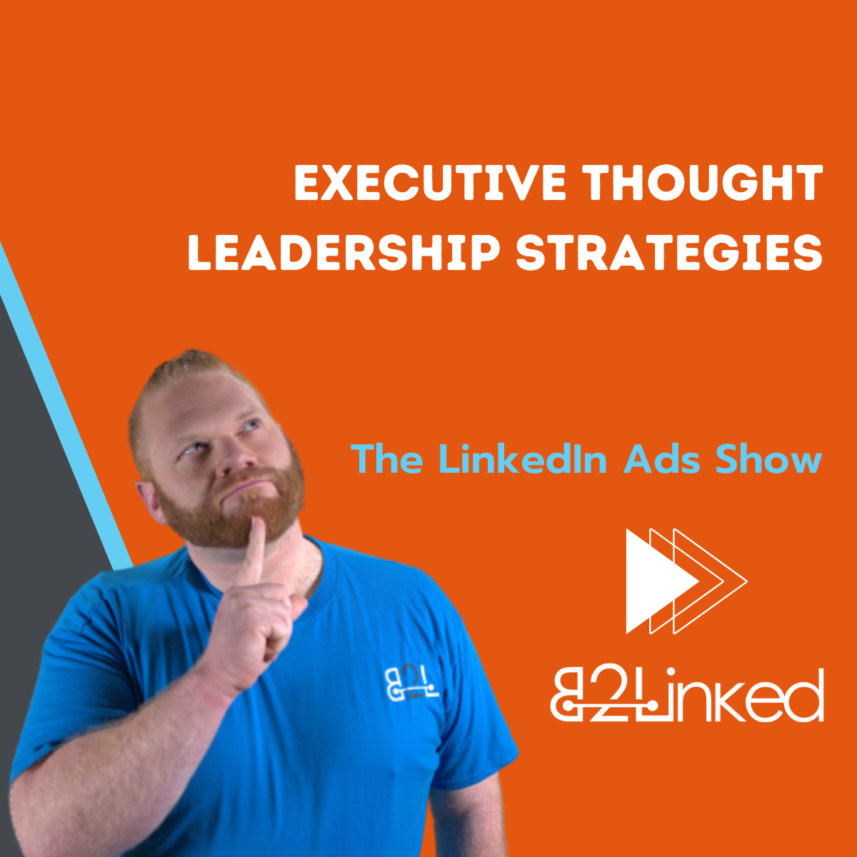 LinkedIn Ads Show