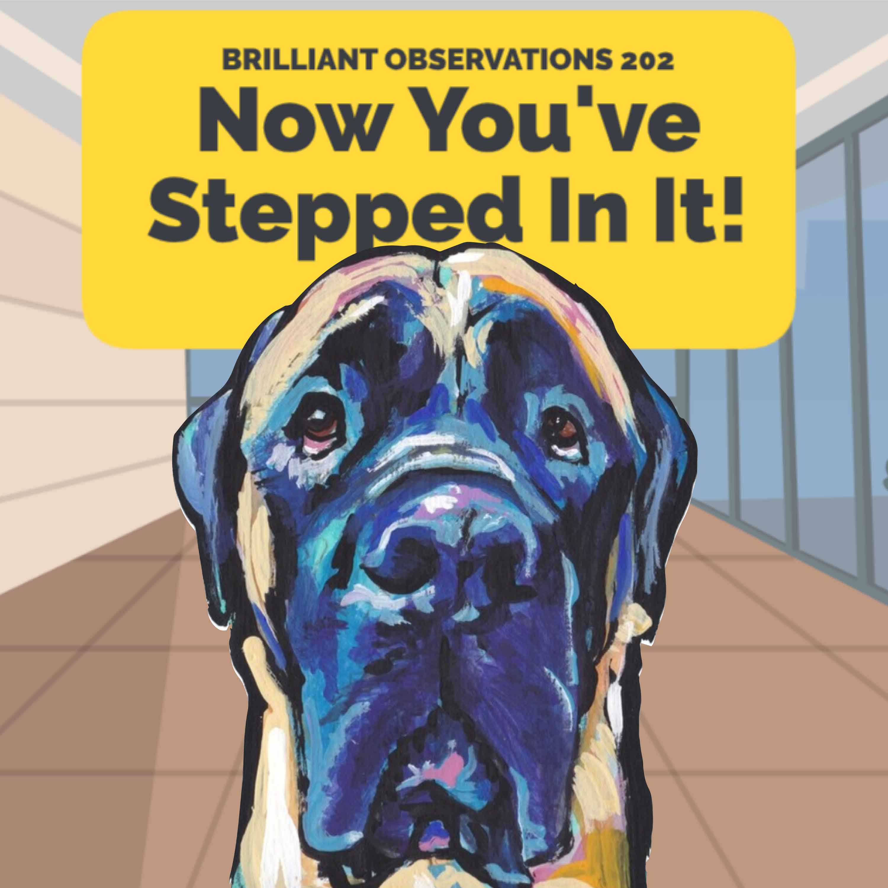 Now You've Stepped in It!  |  Brilliant Observations 202