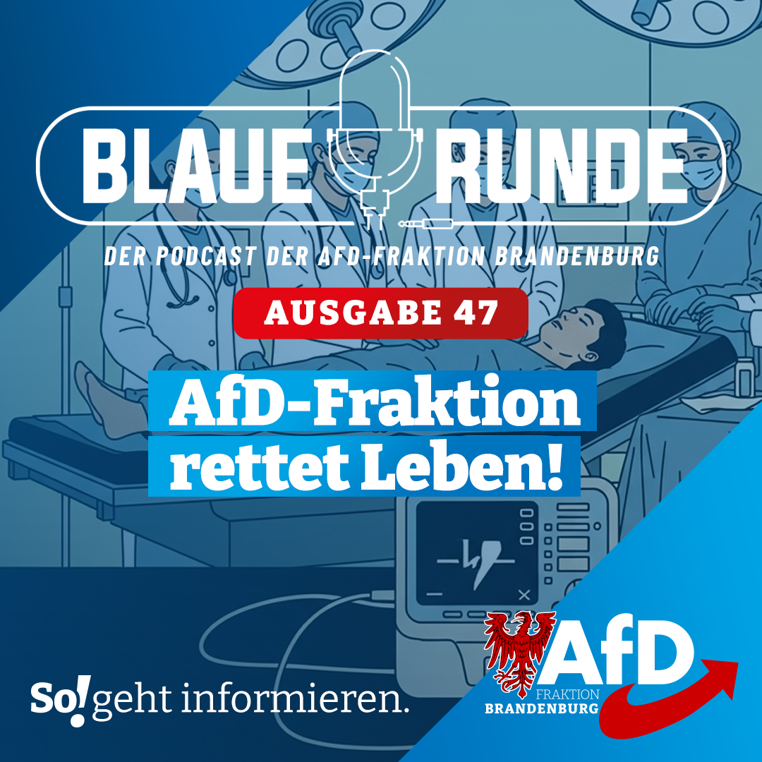 AfD-Fraktion rettet Leben! | Die Blaue Runde, Ausgabe 47/25 vom 06. September 2025