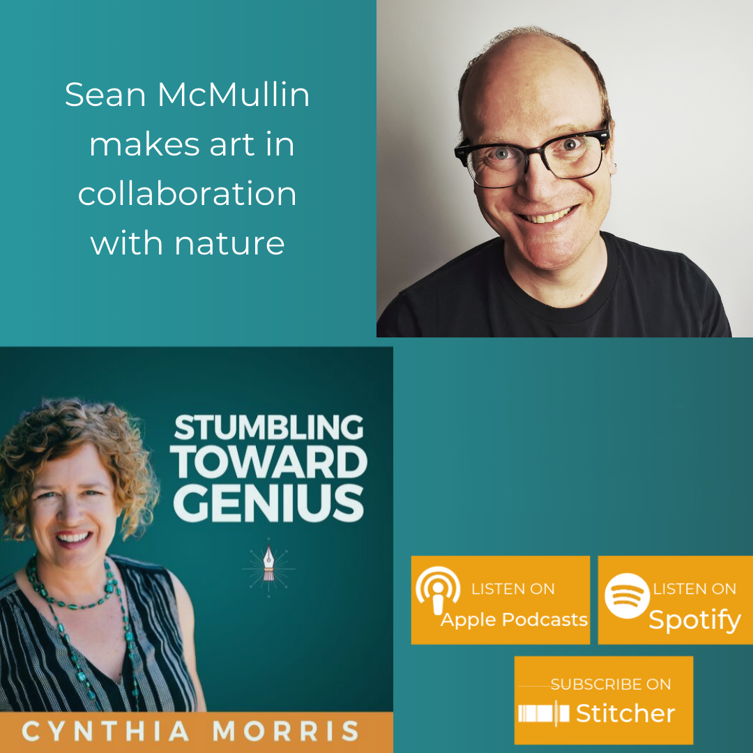 Stumbling Toward Genius