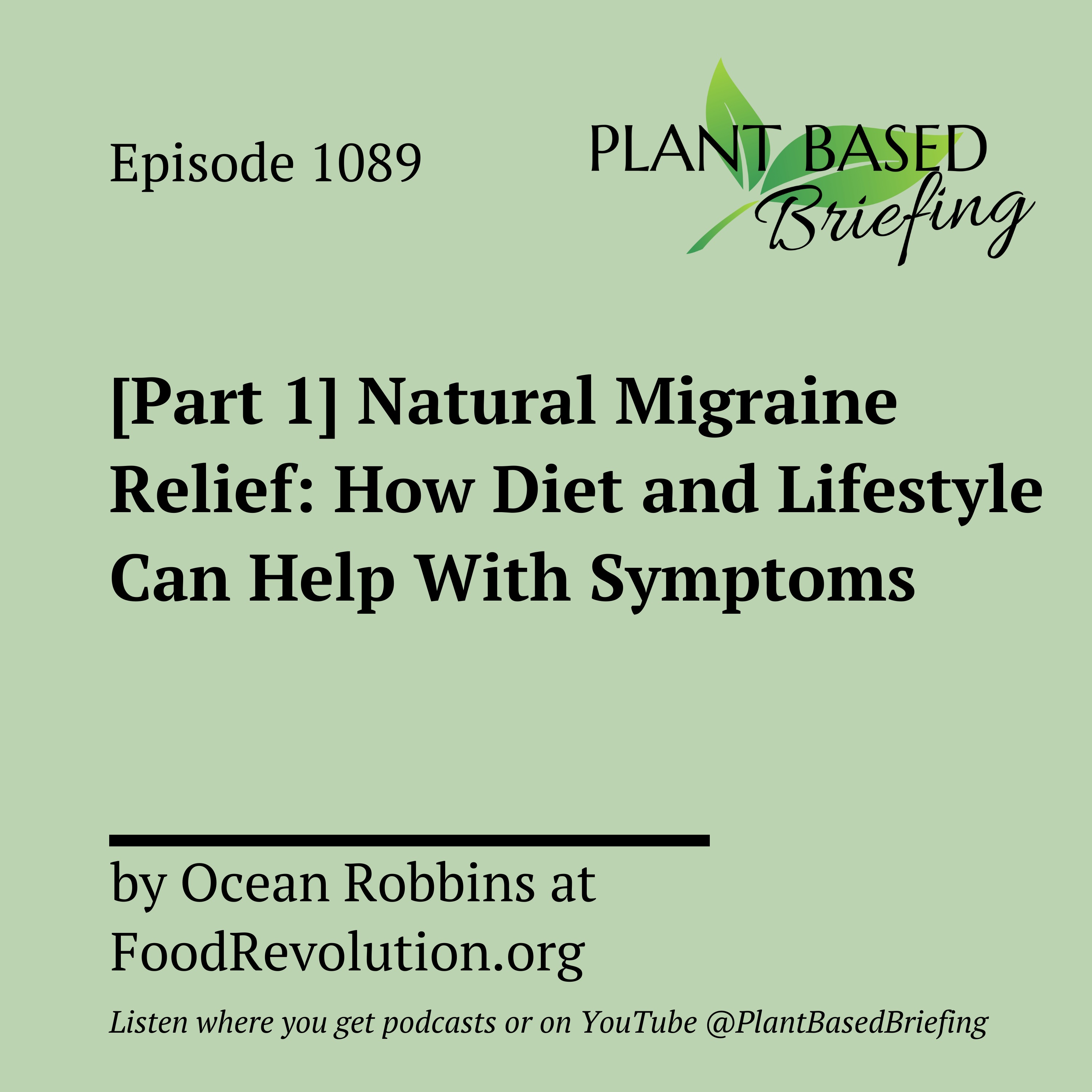 Plant Based Briefing