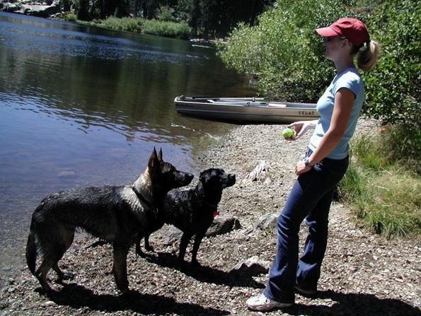 Vermont Dog Trainer Show