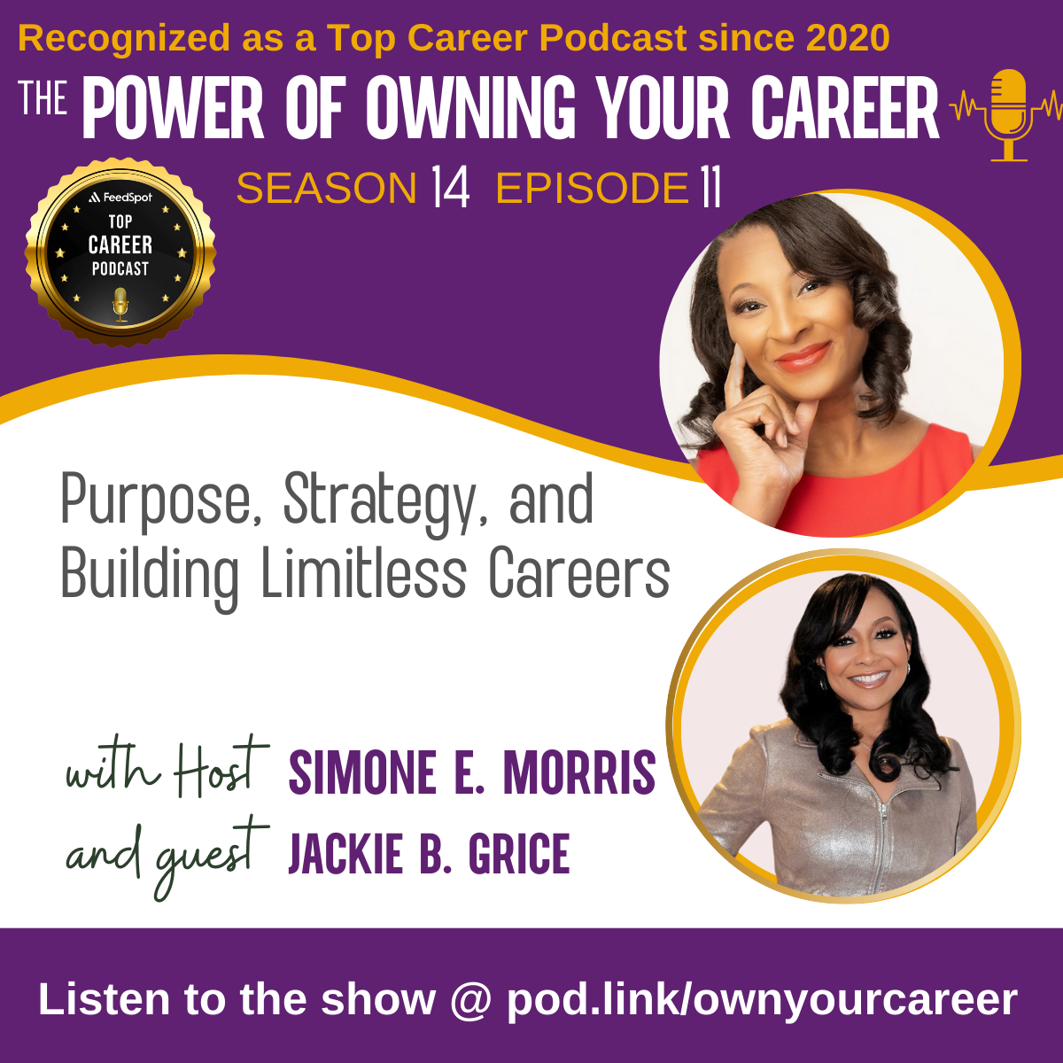 The Power of Owning Your Career Podcast
