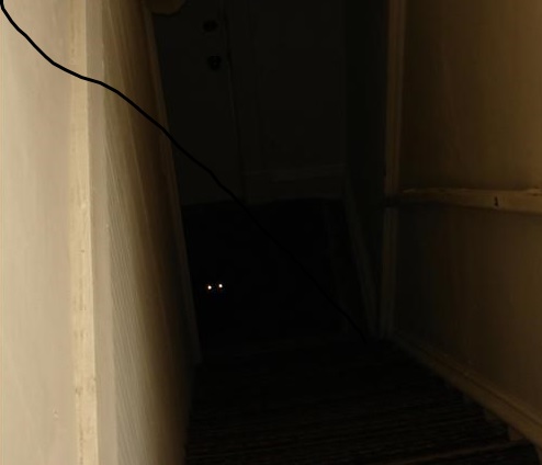 STA Follow Me Into the Dark