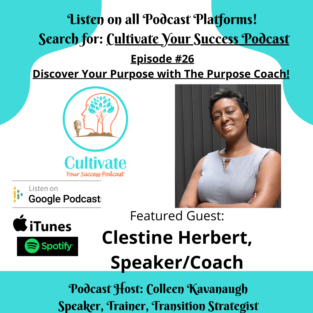 Cultivate Your Success Podcast