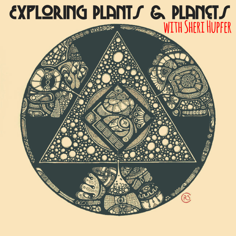 Exploring Plants & Planets with Sheri Hupfer