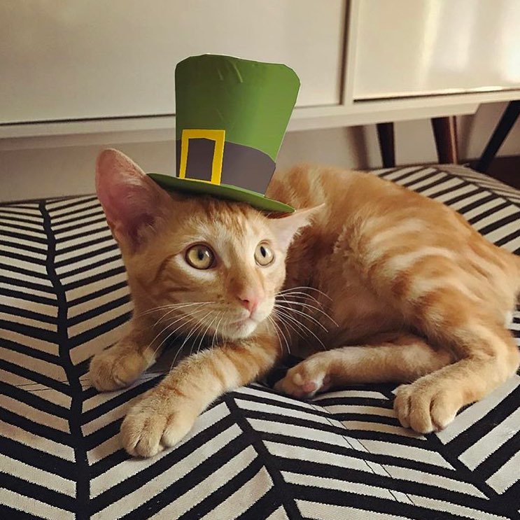 Imagina Juntas #17 - Tinder 101