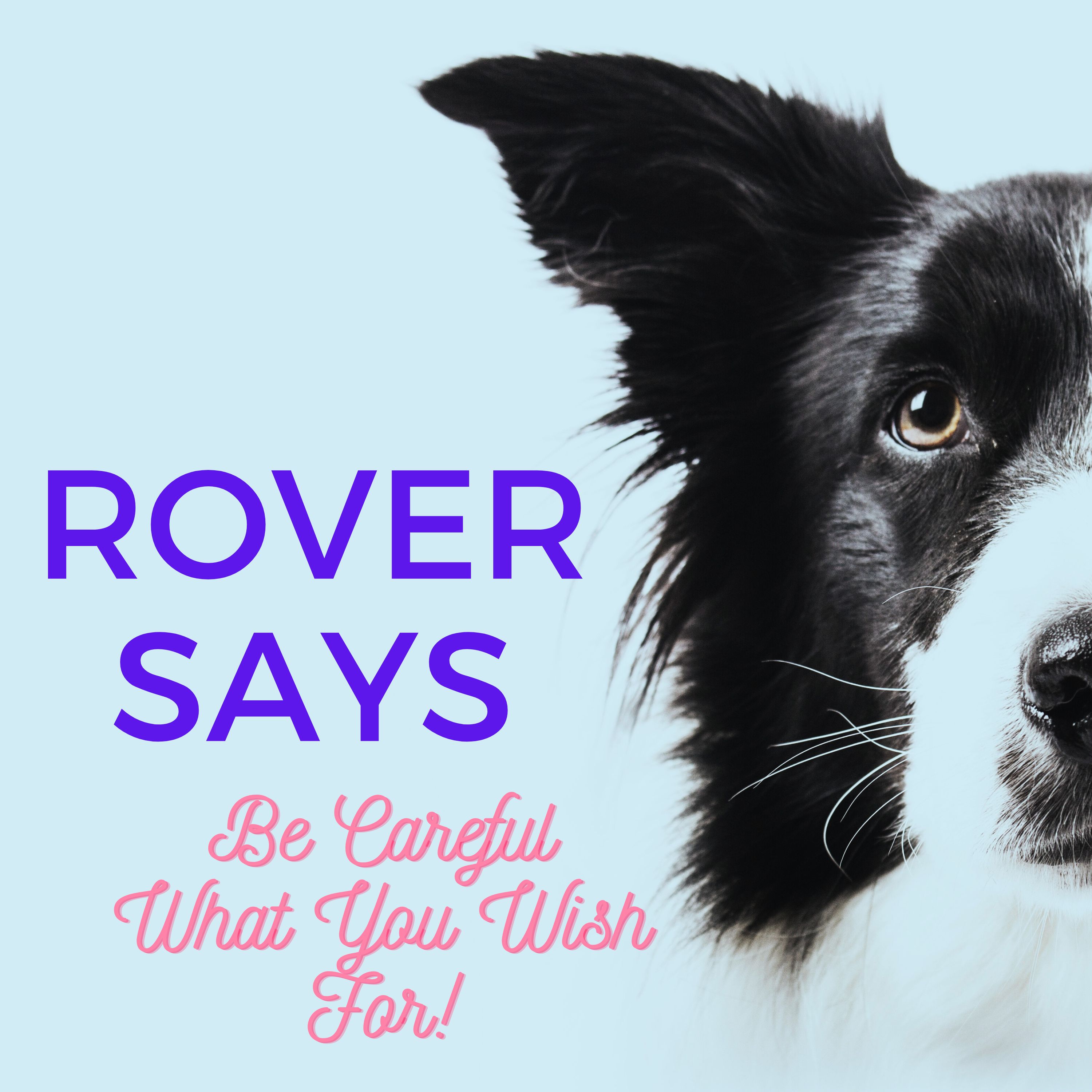 Rover Says