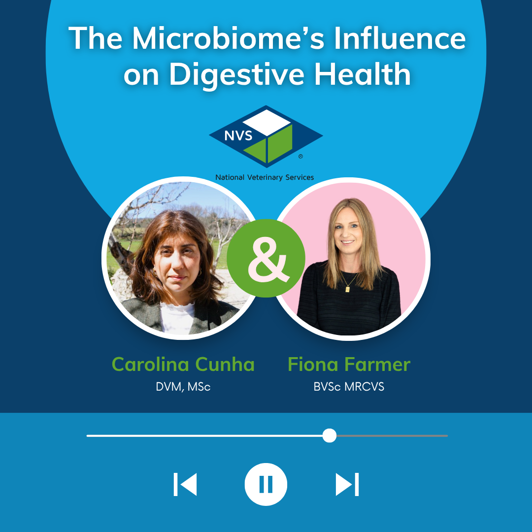 The Microbiome’s Influence on Digestive Health