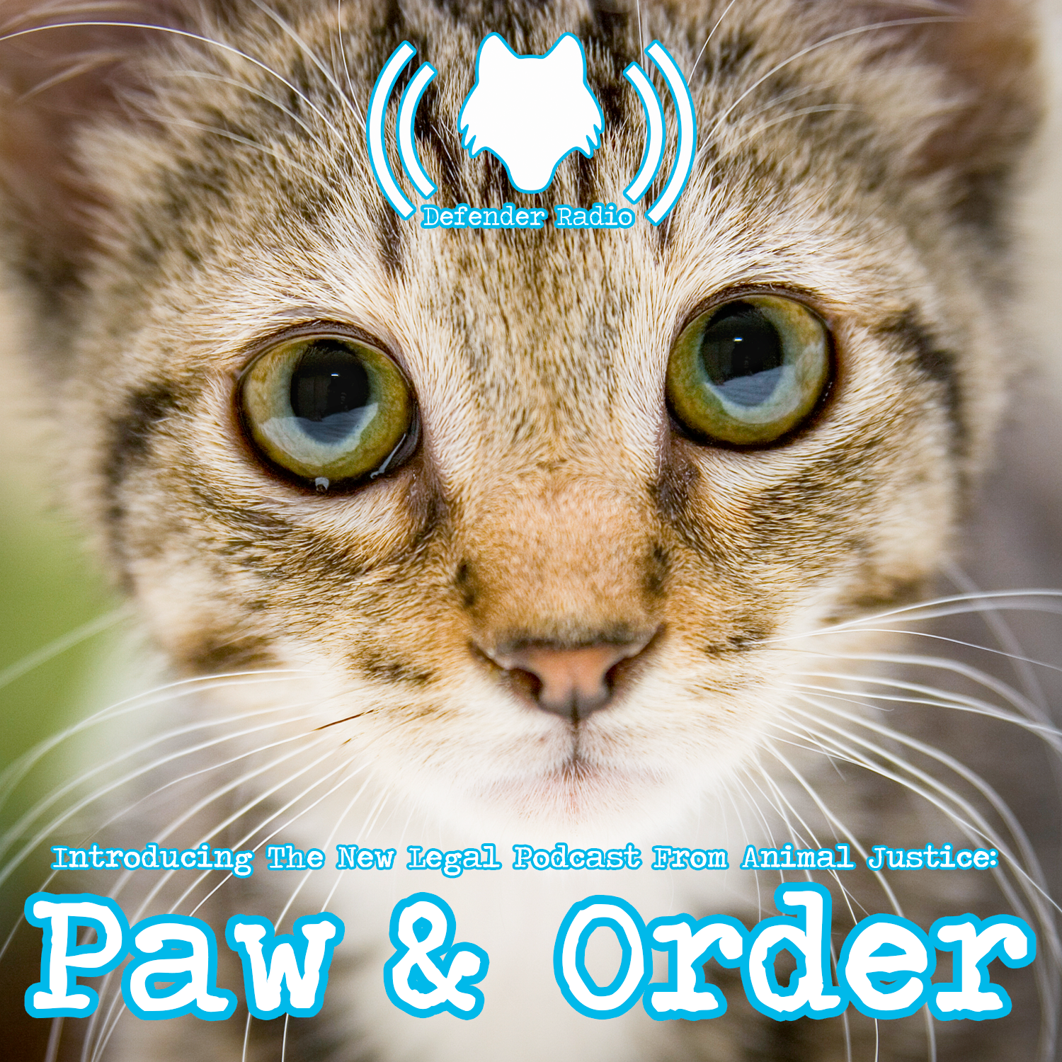 Introducing The New Legal Podcast From Animal Justice: Paw & Order (508)