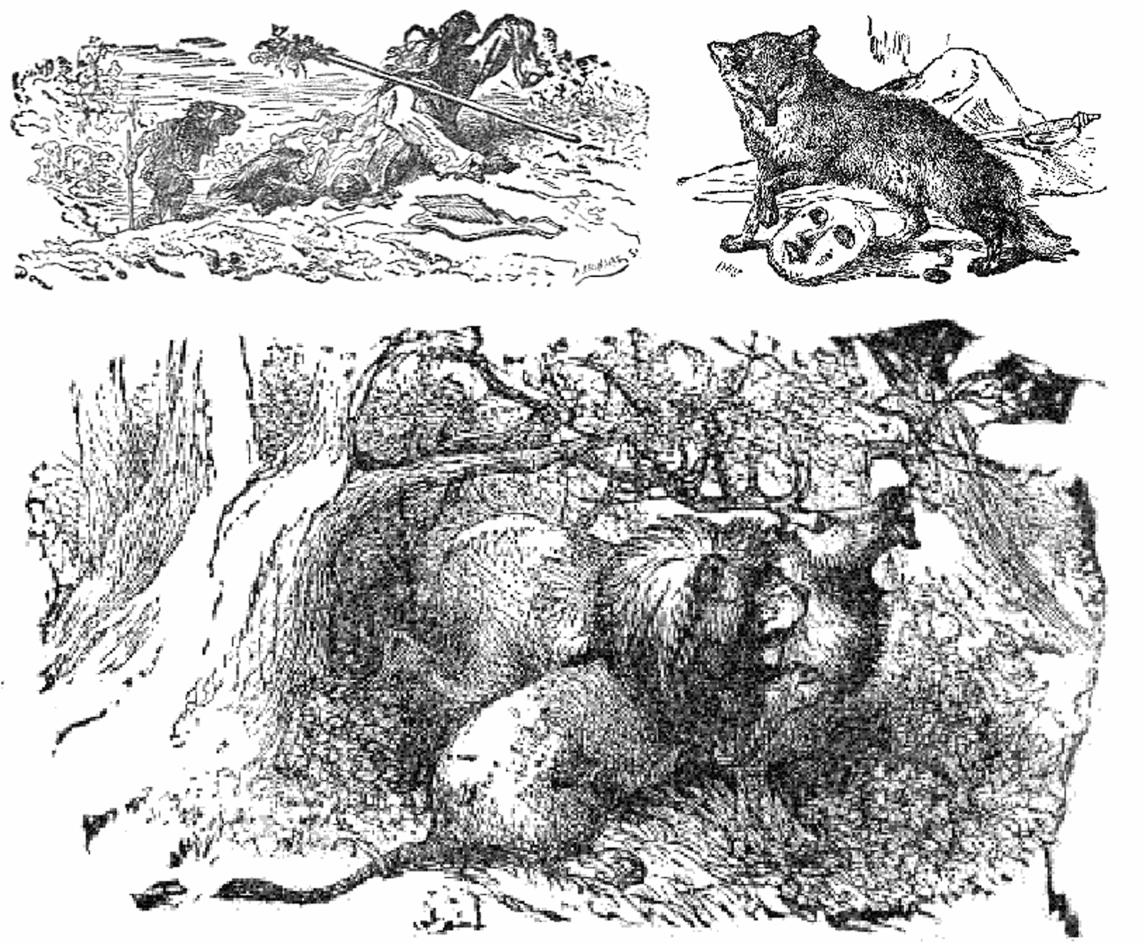 Aesop's Fables, Collection 1 - Aesop's Fables