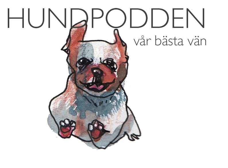 Hundpodden Vår Bästa Vän