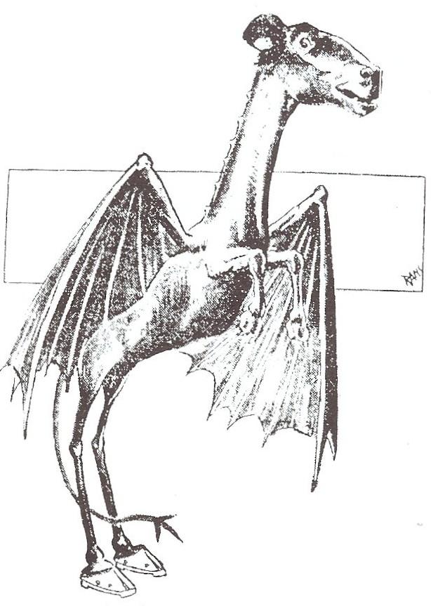 The Jersey Devil - An American Folktale