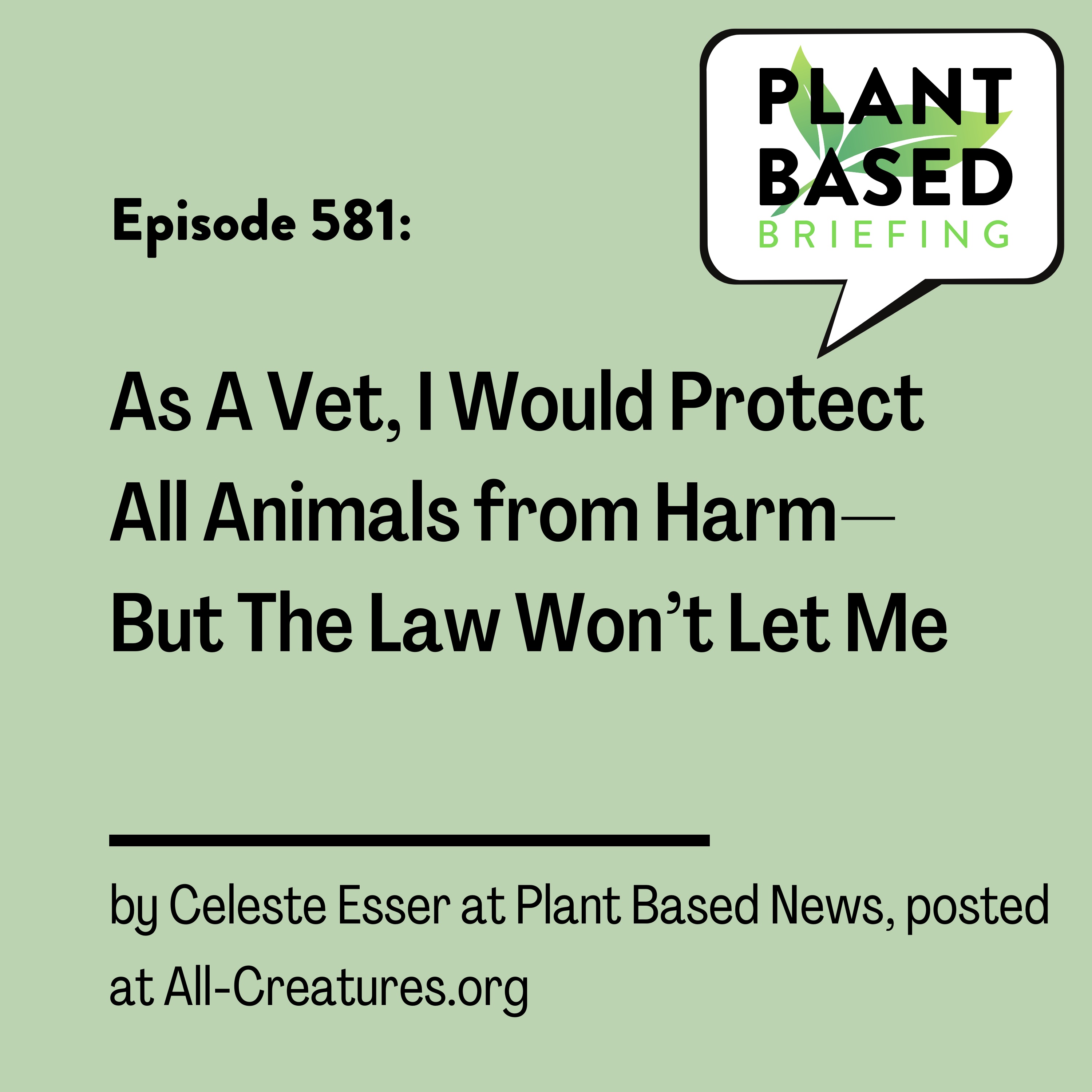 Plant Based Briefing