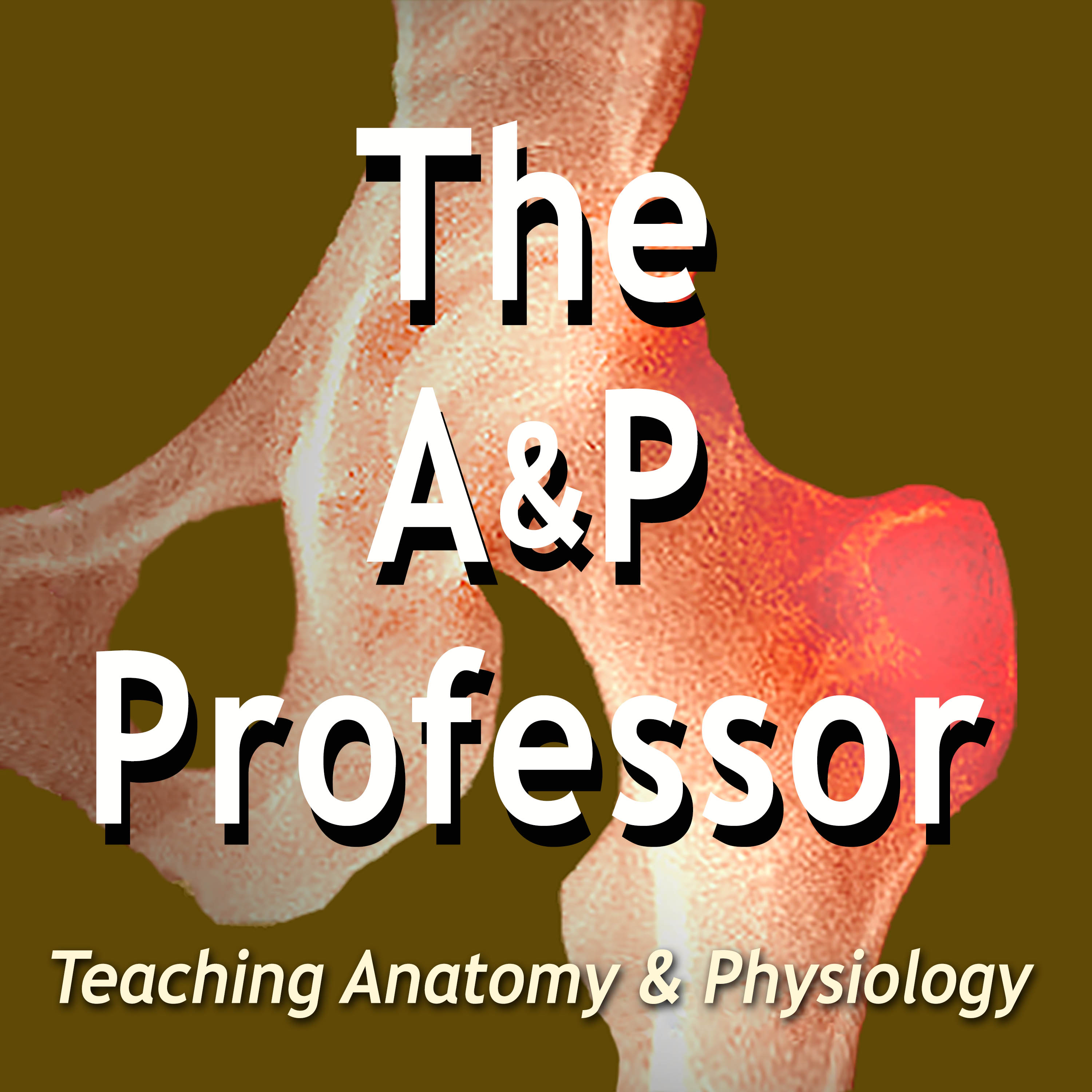 The A&P Professor | Teaching Anatomy and Physiology | Trailer