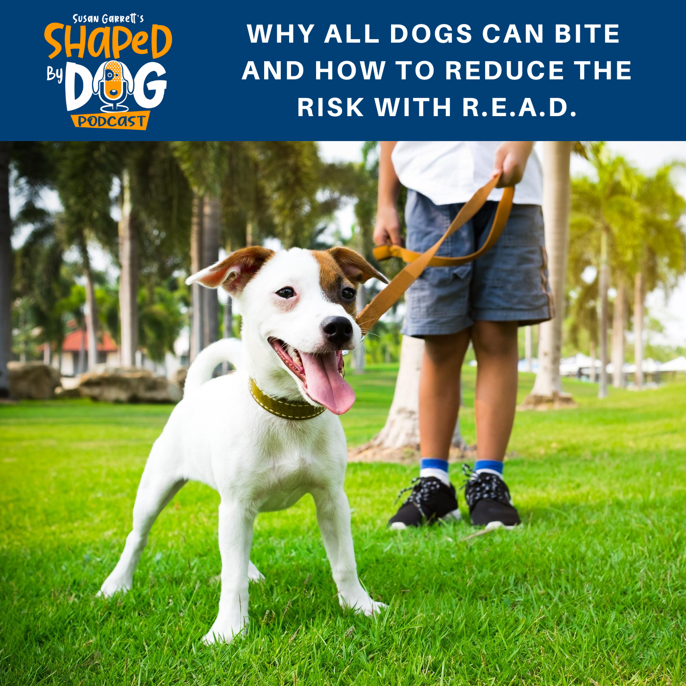 Why All Dogs Can Bite and How to Reduce the Risk with R.E.A.D. #25