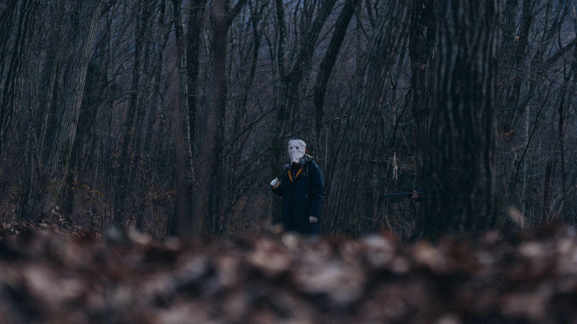 Films at First Sight