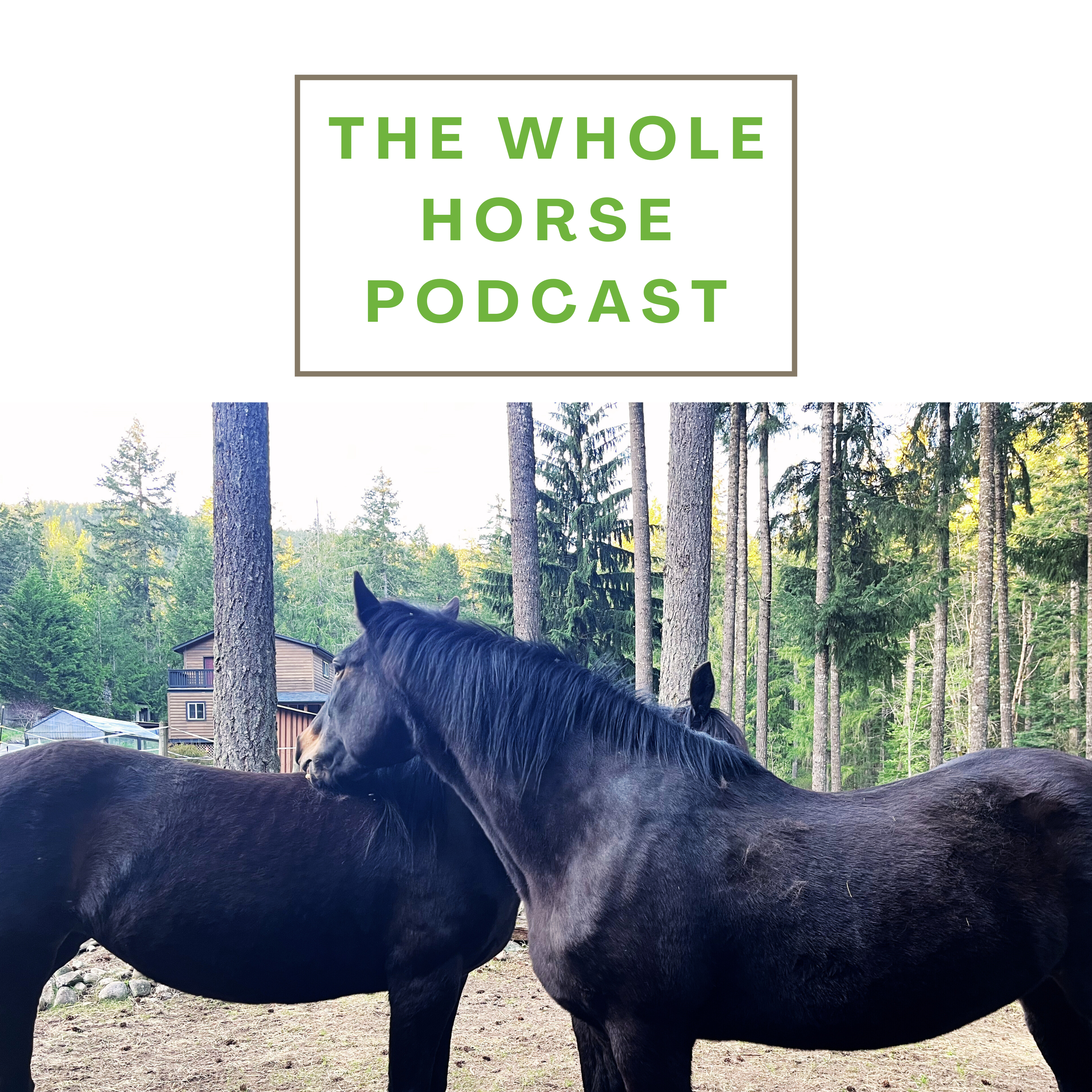The Whole Horse Podcast with Alexa Linton