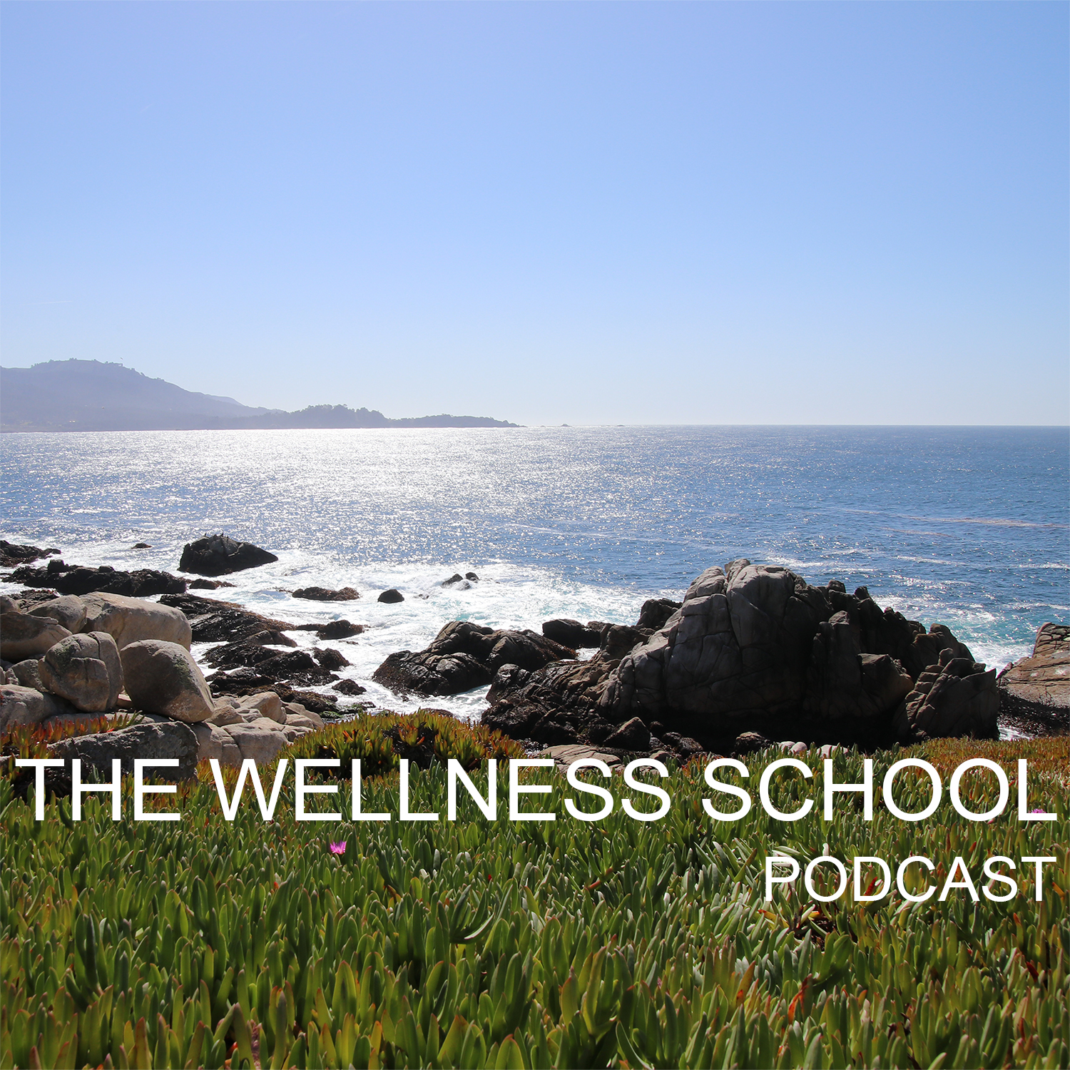 HS 01-07: Ilene's Story - Healing from the Death of Her Son