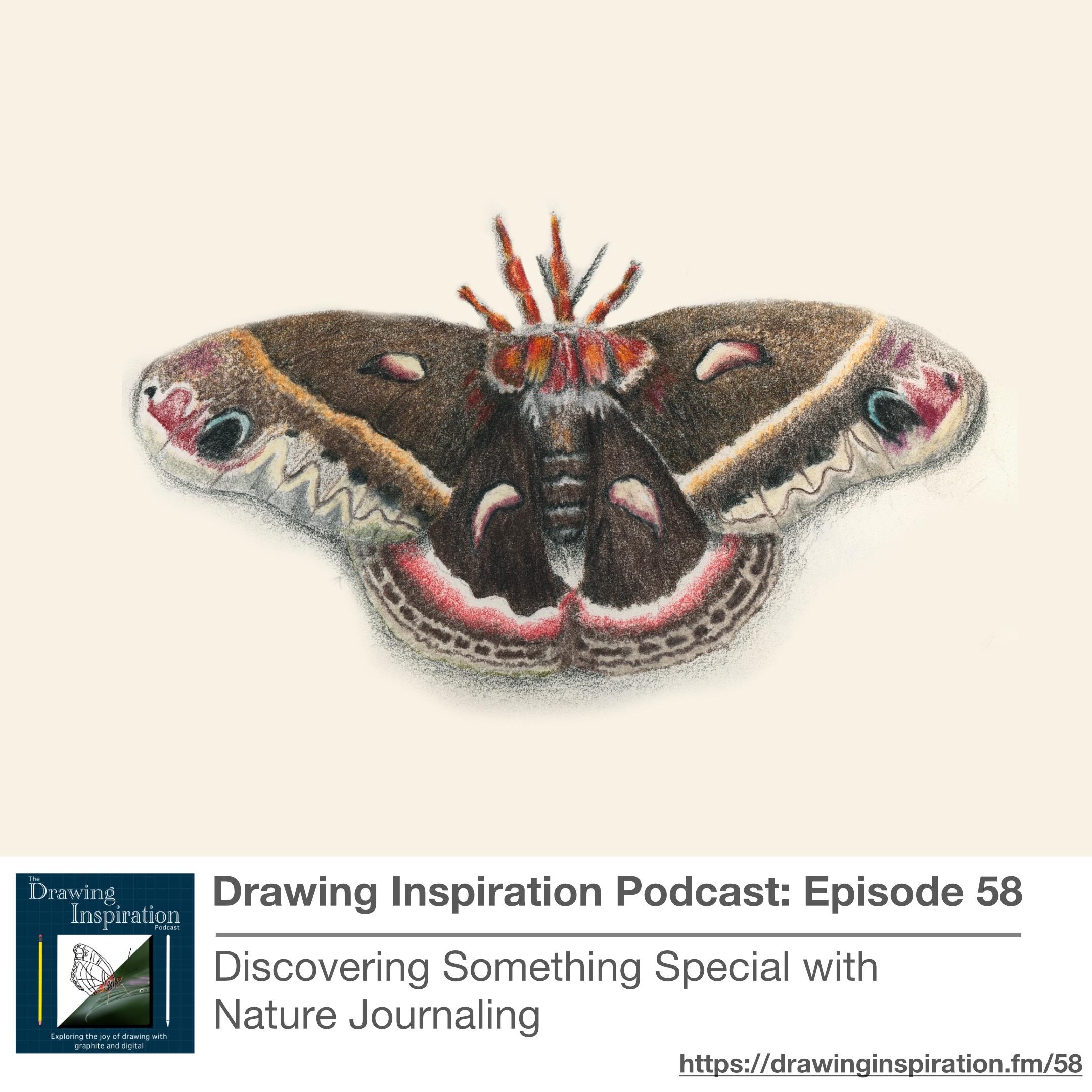 Drawing Inspiration