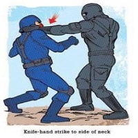 G.I. Joe: The Action Figures Podcast Special