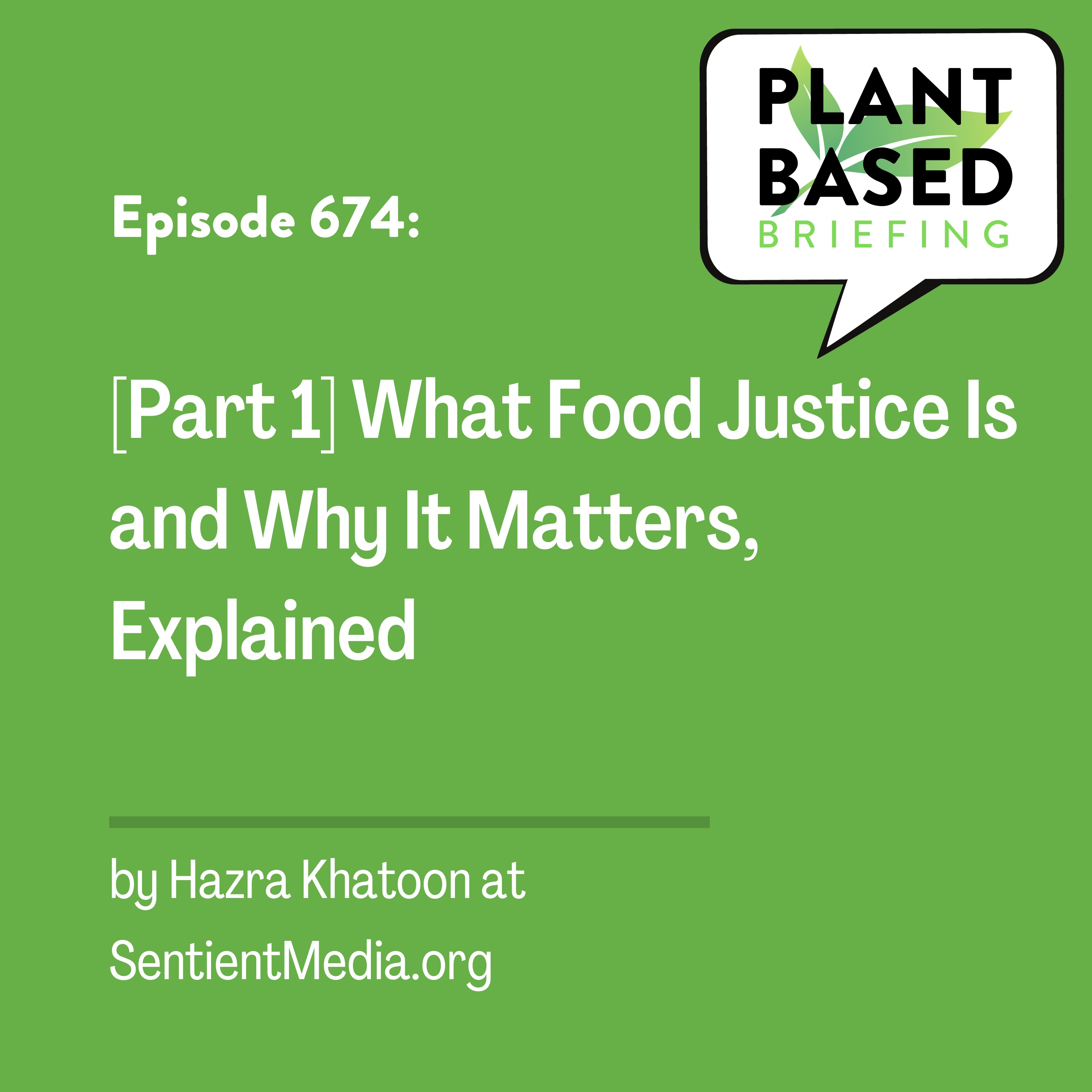 Plant Based Briefing