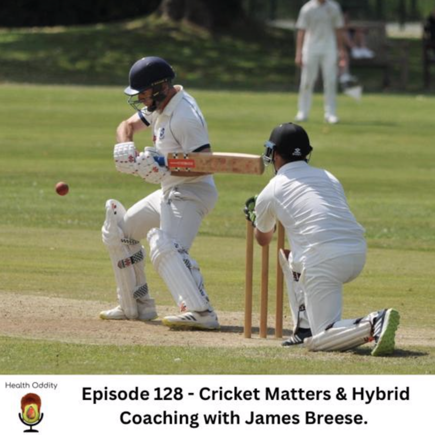 Cricket Matters & Hybrid Coaching with James Breese