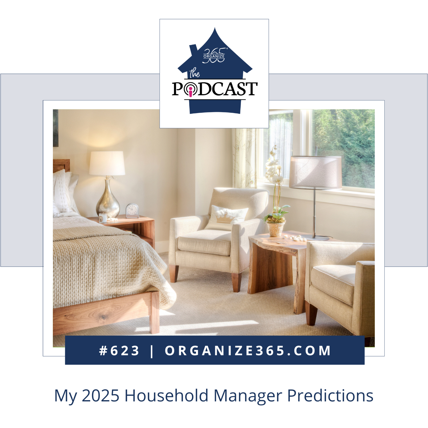 624 - My 2025 Household Manager Predictions
