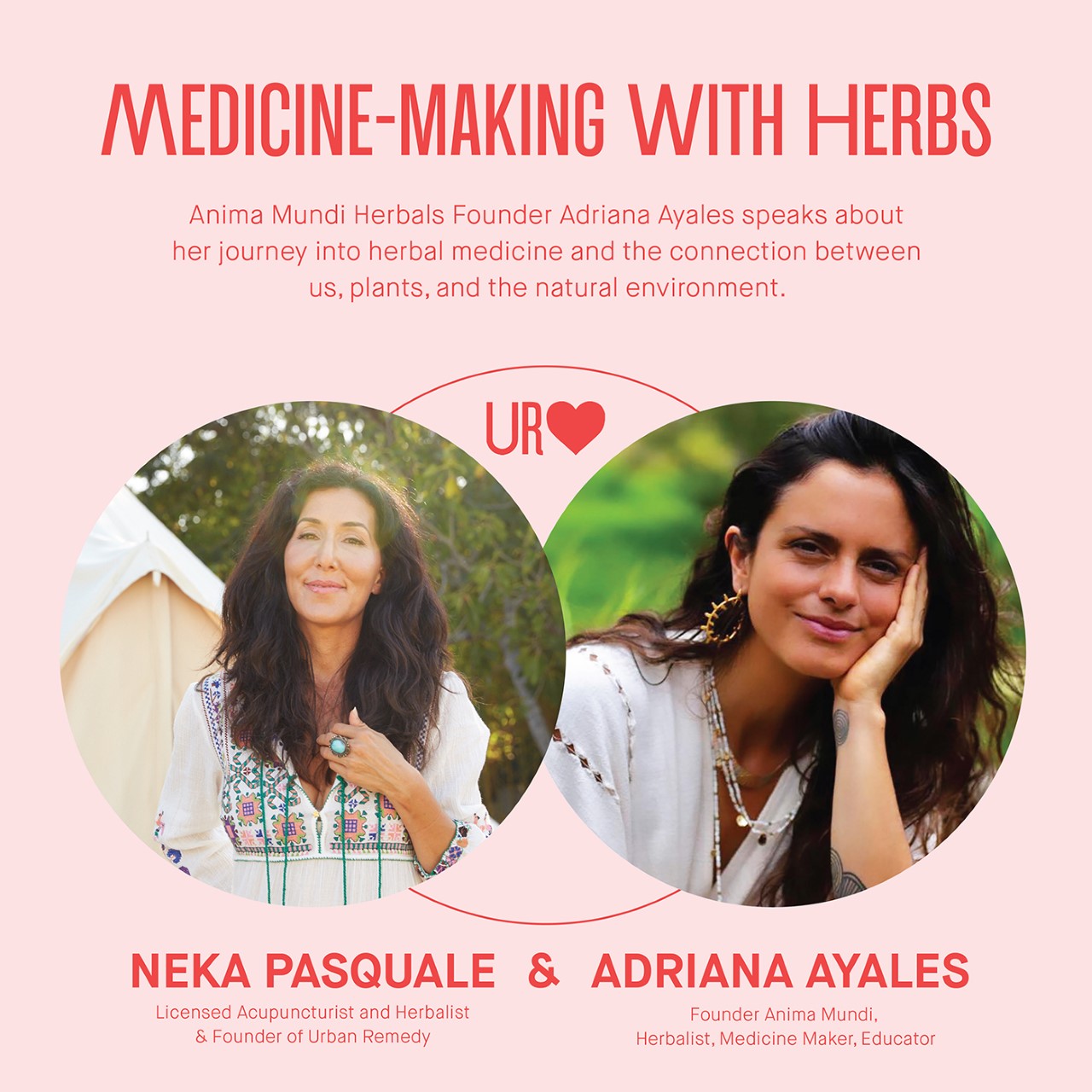 Medicine-Making With Herbs