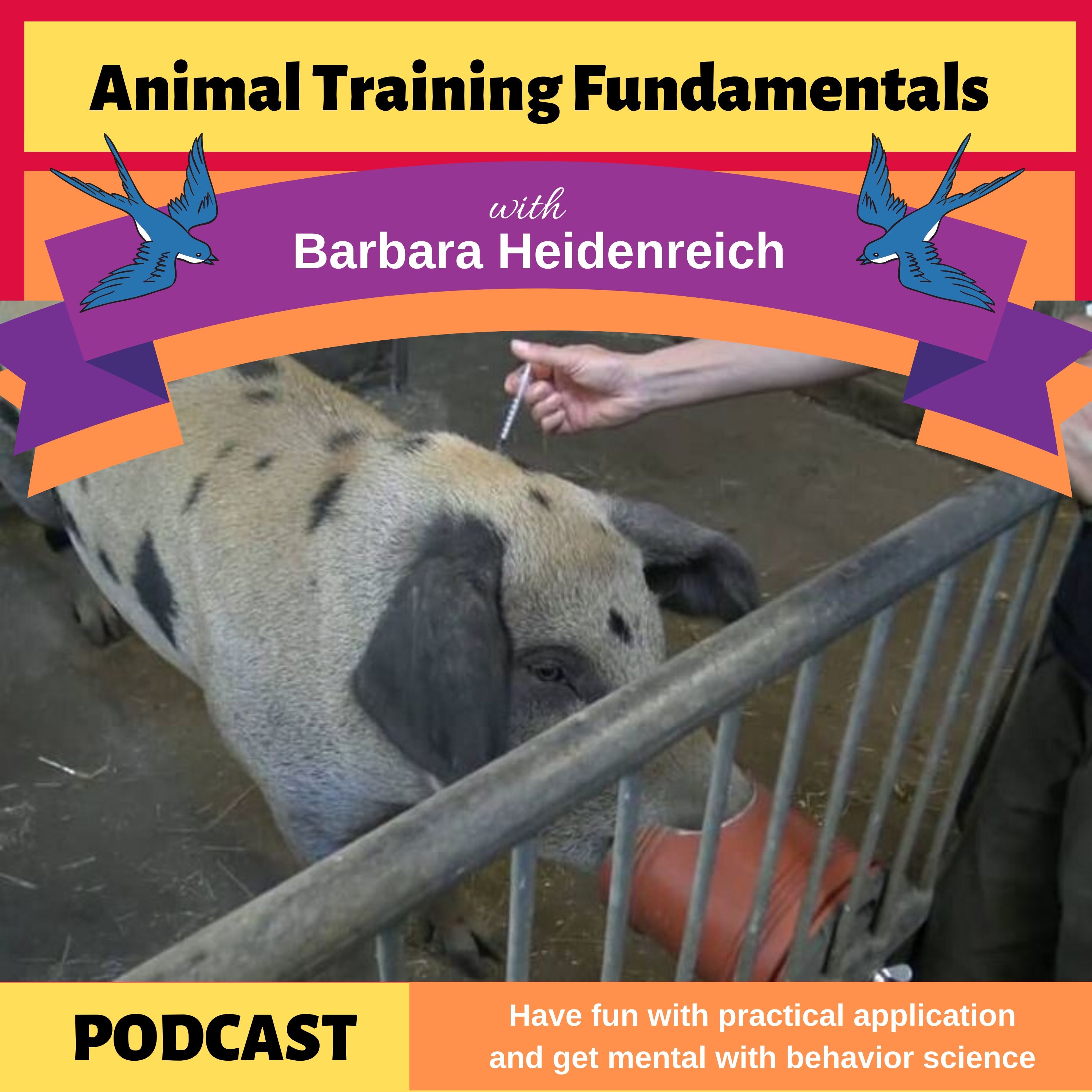 Animal Training Fundamentals with Barbara Heidenreich