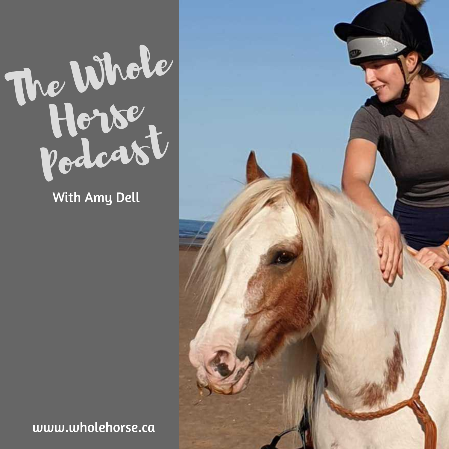 Whole Horse | All about track systems for horses with Amy Dell