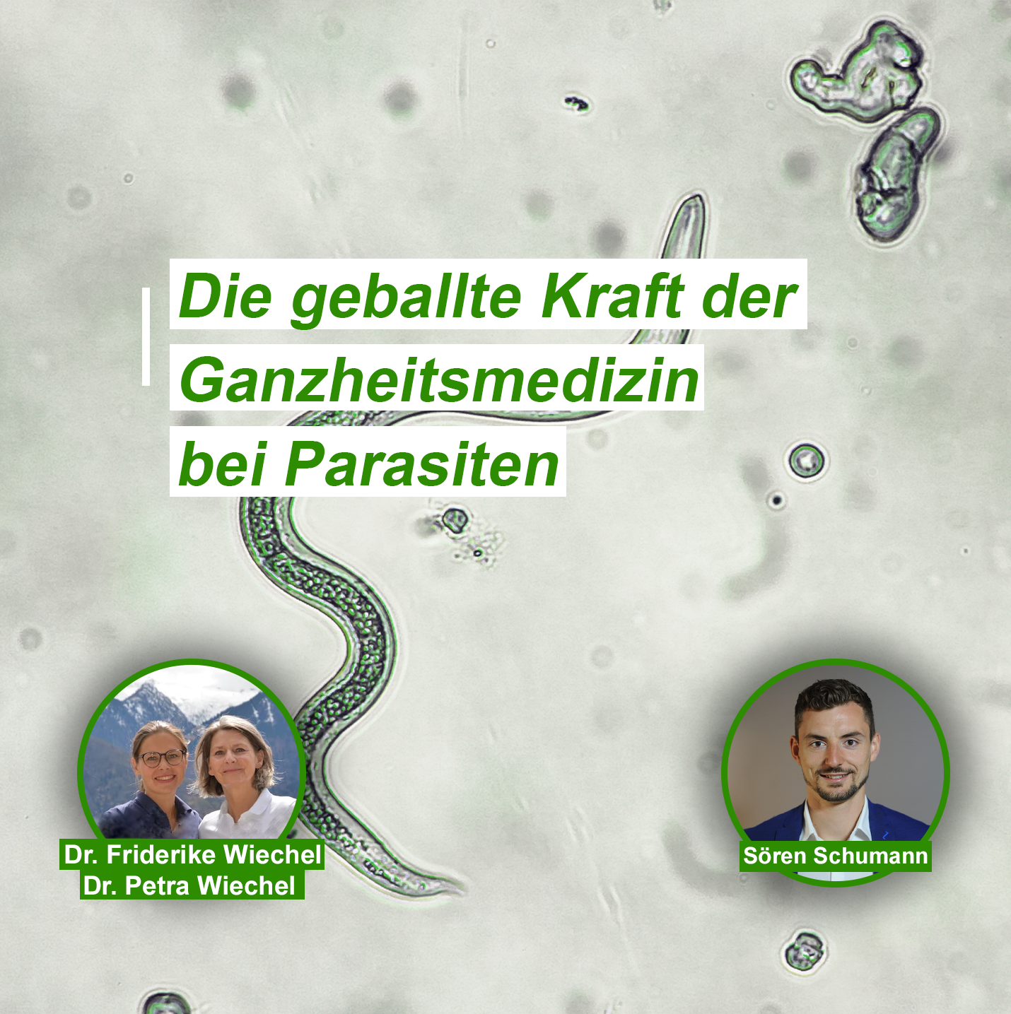 Gesundheit Ganzheitlich