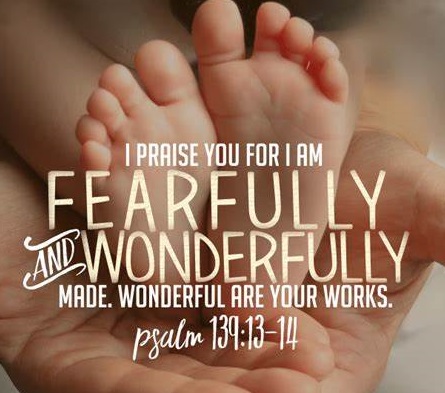 Where Was I Before I Was Born? Did I Exist Before I Was Born?Is There Knowledge and Understanding of God Too Great For Us To Comprehend? Reading Psalm 139-140 #335