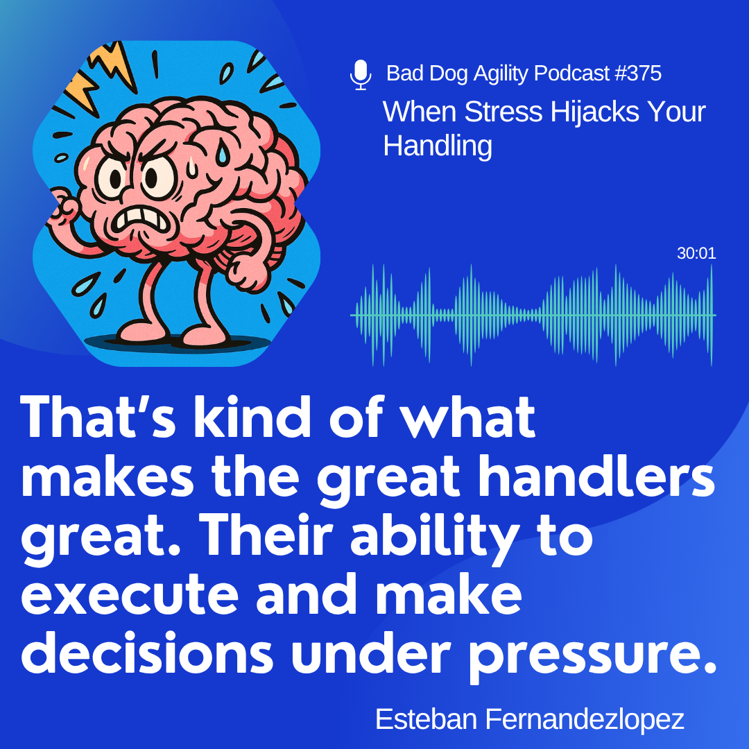 375: When Stress Hijacks Your Handling